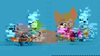 Spiders, Yetis, Starfish & cats on DStv for Kids