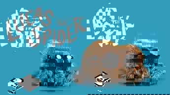 Boop! It’s Lucas The Spider