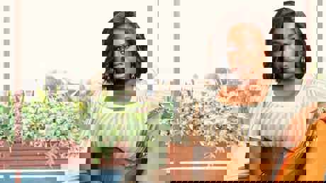 In Treatment S4 Layered