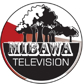 298 Mibawa TV