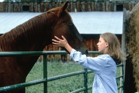 A Girl And Her Glorious Horse – King & Conqueror6